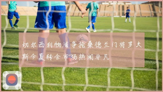切尔西利物浦争抢桑德兰门将罗夫斯今夏转会市场热闹非凡